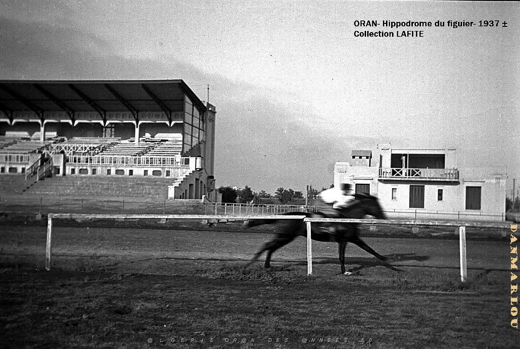 ORAN 1937 HYPPODROME DU FIGIER    (5).jpg